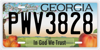 GA license plate PWV3828