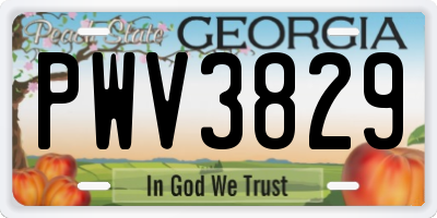 GA license plate PWV3829