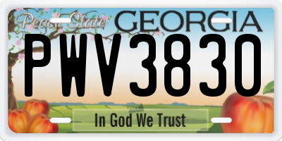 GA license plate PWV3830