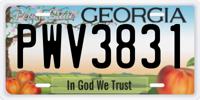 GA license plate PWV3831