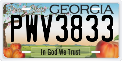 GA license plate PWV3833
