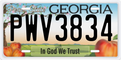 GA license plate PWV3834