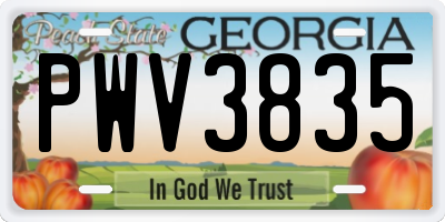 GA license plate PWV3835