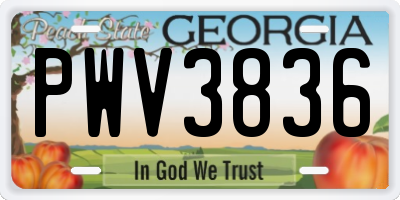 GA license plate PWV3836