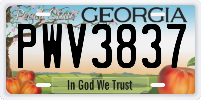 GA license plate PWV3837