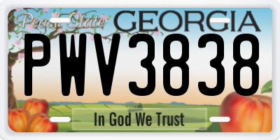 GA license plate PWV3838