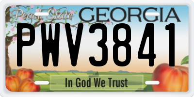 GA license plate PWV3841