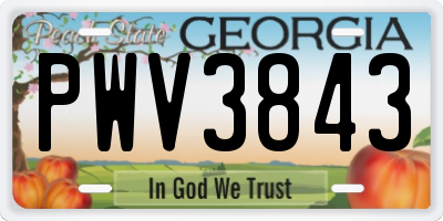GA license plate PWV3843