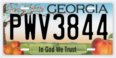 GA license plate PWV3844