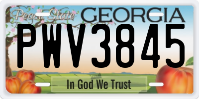 GA license plate PWV3845