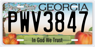 GA license plate PWV3847