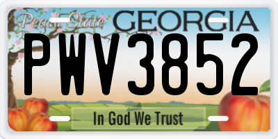 GA license plate PWV3852