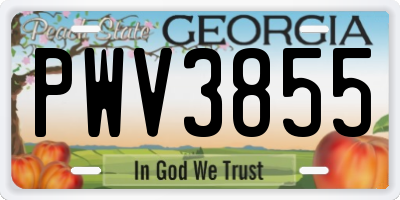 GA license plate PWV3855