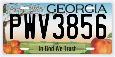 GA license plate PWV3856