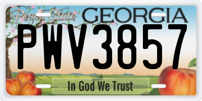 GA license plate PWV3857