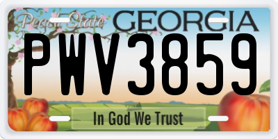 GA license plate PWV3859