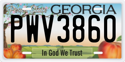 GA license plate PWV3860