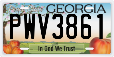 GA license plate PWV3861