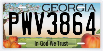 GA license plate PWV3864