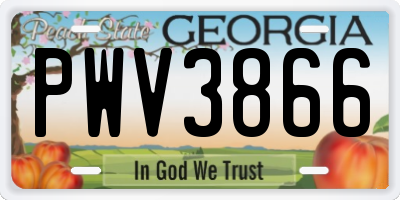 GA license plate PWV3866