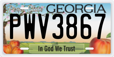 GA license plate PWV3867