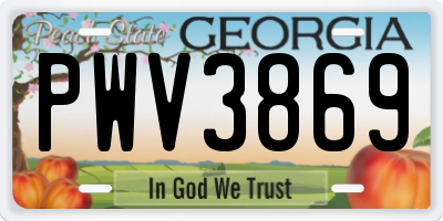 GA license plate PWV3869