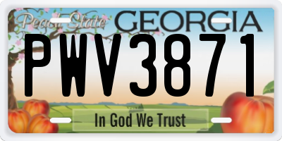 GA license plate PWV3871