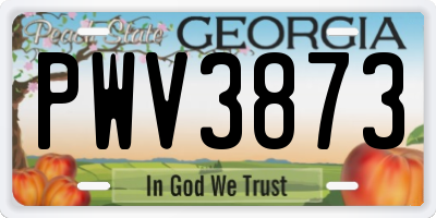 GA license plate PWV3873