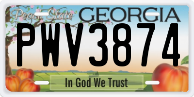 GA license plate PWV3874