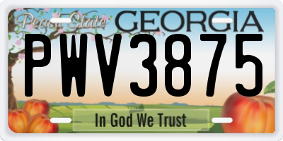 GA license plate PWV3875