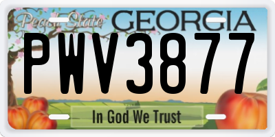 GA license plate PWV3877