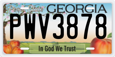 GA license plate PWV3878