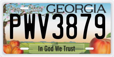 GA license plate PWV3879