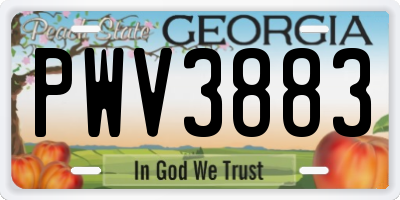GA license plate PWV3883