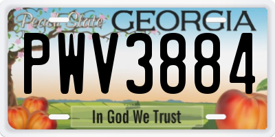 GA license plate PWV3884