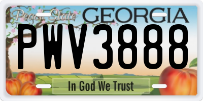 GA license plate PWV3888