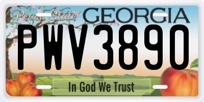 GA license plate PWV3890