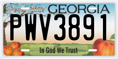 GA license plate PWV3891