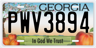 GA license plate PWV3894