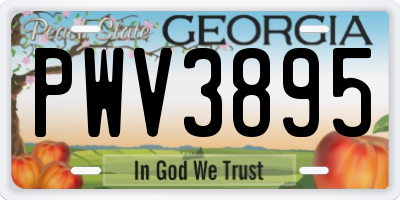 GA license plate PWV3895