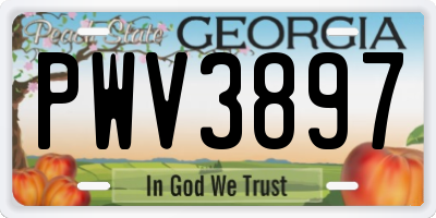 GA license plate PWV3897