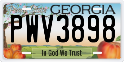 GA license plate PWV3898