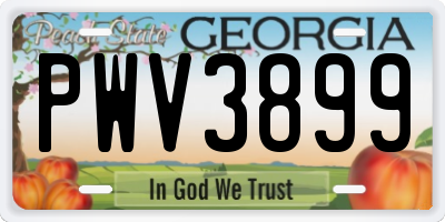 GA license plate PWV3899