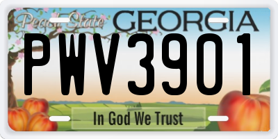 GA license plate PWV3901