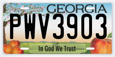GA license plate PWV3903