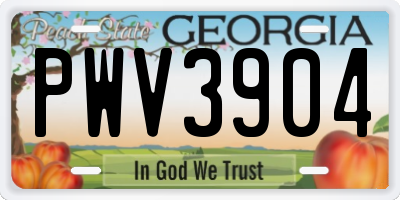 GA license plate PWV3904