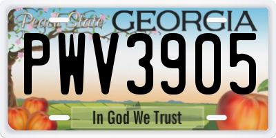 GA license plate PWV3905
