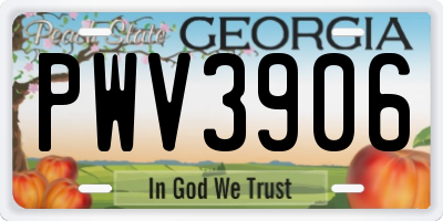 GA license plate PWV3906