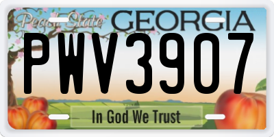 GA license plate PWV3907