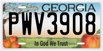 GA license plate PWV3908